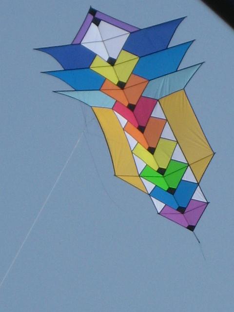 Drachenfest Bergeijk 2009 065.jpg